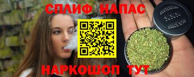 сатива Абакан