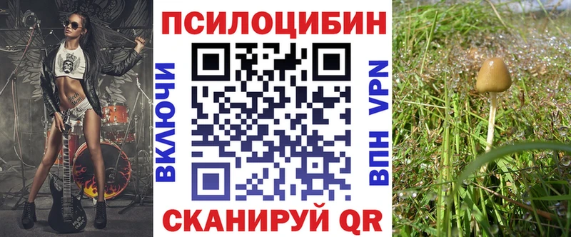Галлюциногенные грибы GOLDEN TEACHER Абинск
