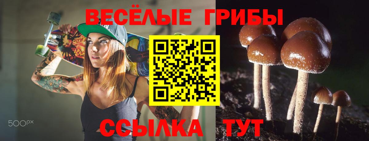 Псилоцибиновые грибы MAGIC MUSHROOMS  Вход с VPN  Галлюциногенные грибы мухоморы  Абинск 