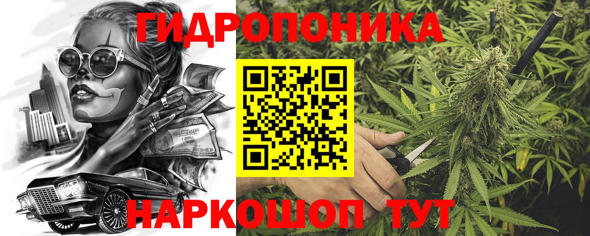Бошки Шишки семена Абинск